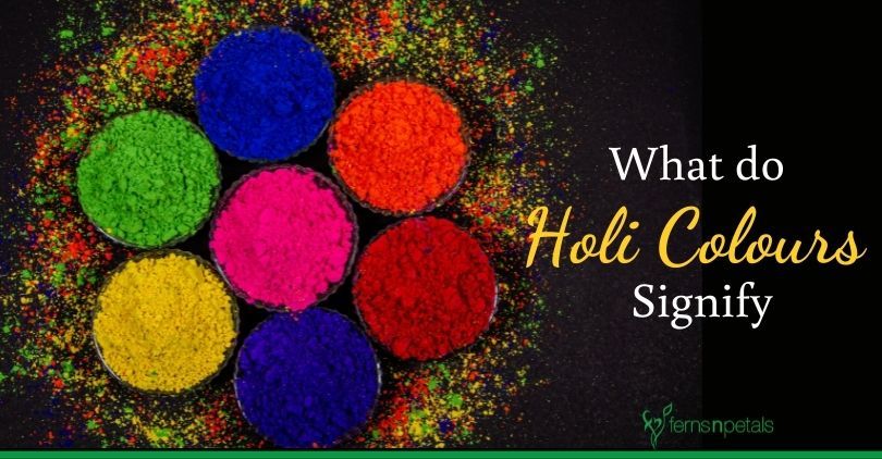 What do Holi Colours signify